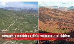 Cumhuriyet tarihinin en büyük yangınının izleri siliniyor