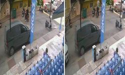 Kediyi yerden alıp fırlattı!