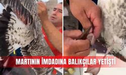 Martının imdadına balıkçılar yetişti