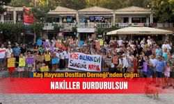 Kaş Hayvan Dostları Derneği’nden çağrı: Nakiller durdurulsun