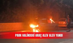 Park halindeki araç alev alev yandı