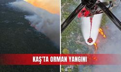 Kaş'ta orman yangını