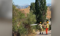 Alanya'da yangın