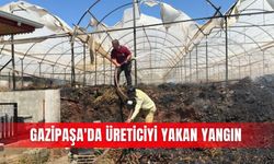Gazipaşa'da üreticiyi yakan yangın