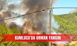 Kumluca'da orman yangını