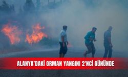 Alanya'daki orman yangını 2'nci gününde