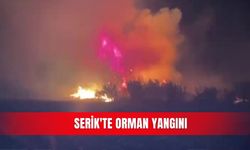 Serik'te orman yangını