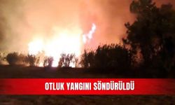 Otluk yangını söndürüldü