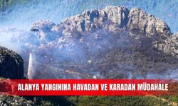 Alanya yangınına havadan ve karadan müdahale
