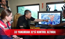 Vali Şahin: 33 yangından 32'si kontrol altında