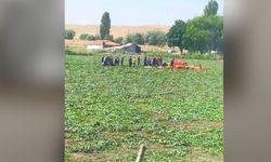 Ankara'da eğitim helikopteri düştü! Bölgeye çok sayıda ekip sevk edildi