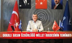 Okkalı: Basın özgürlüğü millet iradesinin teminatı