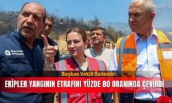 Başkan Vekili Özdemir: Ekipler yangının etrafını yüzde 80 oranında çevirdi