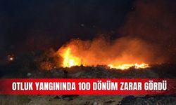 Otluk yangınında 100 dönüm zarar gördü