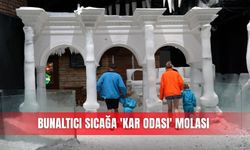 Bunaltıcı sıcağa 'kar odası' molası