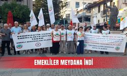 Emekliler meydana indi