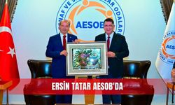 Ersin Tatar, AESOB'da