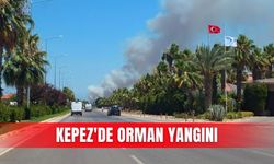 Kepez'de orman yangını