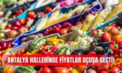 Antalya hallerinde fiyatlar uçuşa geçti!
