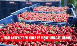 Batı Akdeniz’den kiraz ve vişne ihracatı rekoru