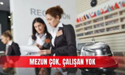 Mezun çok, çalışan yok