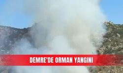 Demre'de orman yangını