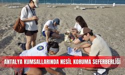 Antalya kumsallarında nesil koruma seferberliği
