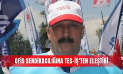 Ofis sendikacılığına TES-İŞ’ten eleştiri