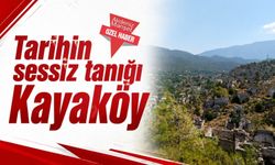 Tarihin sessiz tanığı Kayaköy