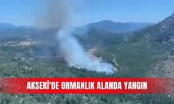 Akseki'de ormanlık alanda yangın