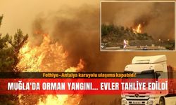 Muğla'da orman yangını! Evler tahliye edildi, iki birbirine bağlayan yol kapatıldı
