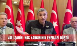 Vali Şahin: Kaş yangınının enerjisi düştü