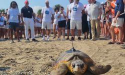 Otellerden carettalara uydu izleme cihazı