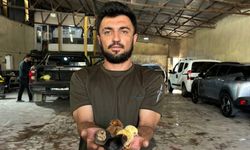 Bir belgesel izledi, hayatı değişti!