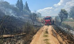 Yol kenarında başlayan yangın söndürüldü