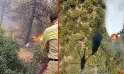 İzmir'de orman yangını