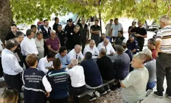 Orman yangınından etkilenen 5 ilde hasar tespit çalışmaları tamamlandı