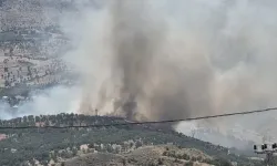Adıyaman'da orman yangını