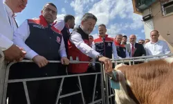 Bakan Yumaklı: GEKİS sayesinde her hayvanın dijital bir kimliği olacak