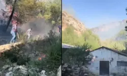 Hatay'da orman yangını