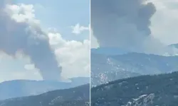Aydın'da orman yangını