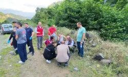 Giresun'da sağanak sele dönüştü; 2 can kaybı