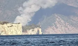 Marmaris'te orman yangını