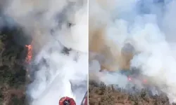 Kamyondaki yangın ormana sıçradı