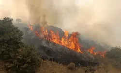 Manisa’da makilik alanda yangın