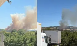 Çanakkale'de tarım arazisinde yangın