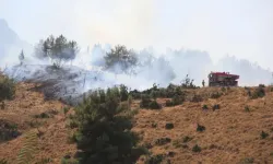 Manisa'da orman yangını