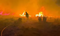 ABD'nin Nevada eyaletindeki orman yangınında 42 bin kişiye tahliye emri verildi