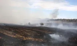 Uzmanından 'anız yakmak yerine sürerek toprağa karıştırma' önerisi