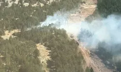 Muğla'da 2 dekar orman yandı